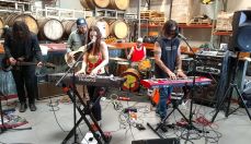 punk rock food drive